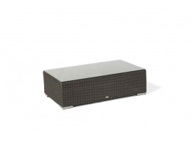 Glasplatte für die Buddha Bank 